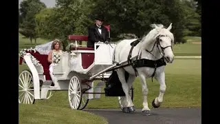Bride's 