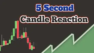 5 Second candle reaction 💯 | Basic to advanced Binary Power course | PT - 1