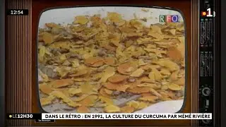 Dans le R&eacute;tro : la production du curcuma au d&eacute;but des ann&eacute;es 90