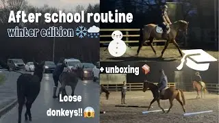 After School Riding Routine!! *CHAOTIC* 📚🫏❄️