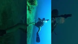 Side'de B&uuml;y&uuml;leyici Dalış! 🐠 Heykeller, Batıklar ve Renkli Balıklar | Antalya Sualtı Keşfi