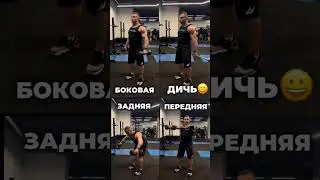 #тренировкаплеч #тренеронлайн #фитнес #мотивация #программатренировок #fitness #плечи #дичь
