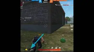Poring Pet Ability