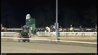 R9 TURFWAY PARK USA 21 JAN 2026