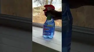 WINDEX #shorts #shortsfeed #windex #cleaning #glass #glasscleaning #newyork #reels #reel
