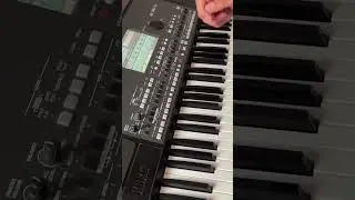 REMATES NELSON KANSELA!!!!!! KORG #korg #samples #pa600#shorts