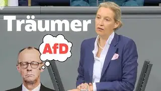 Das sah Friedrich Merz nicht kommen. Alice Weidel nimmt ihn auseinander!