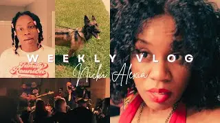 WEEKLY VLOG | BIRTHDAY GIRL + MY DOG IS A MENACE LOL | TAKING OUT BRAIDS + NATURAL  HAIR WOES