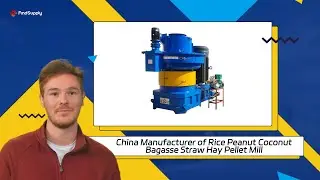 China Manufacturer of Rice Peanut Coconut Bagasse Straw Hay Pellet Mill