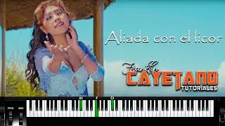 Yarita Lizeth Yanarico ▷ Aliada con el licor (2014) Oficial (TUTORIAL TECLADO)