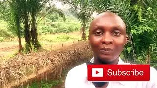 Agrobusiness by mumuvi.com EN