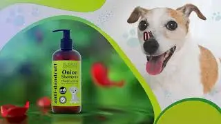 Anti-Dandruff Shampoo | Pet Care | Dog lovers | Rumatec Vetcare | Karnal | Veterinary products