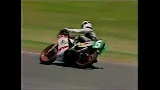 1986 Swann Series Rd 1 Surfers - 250cc Proddie Race