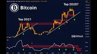 Биткоин достигнет пика в 2025 году? &mdash; Индекс относительной силы (RSI) показал тот же сигнал, что ...