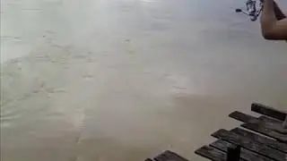 Tabiring kahayan kalteng luar biasa mantap