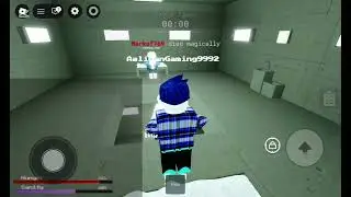 Can we survive the platform in roblox with aira
