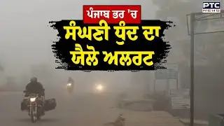 ਪੰਜਾਬ ਭਰ 'ਚ ਸੰਘਣੀ ਧੁੰਦ ਦਾ Yellow Alert,Zero Visibility ਕਾਰਨ ਸੜਕਾਂ 'ਤੇ ਲੋਕਾਂ ਨੂੰ ਆ ਰਹੀ ਦਿੱਕਤ | Punjab