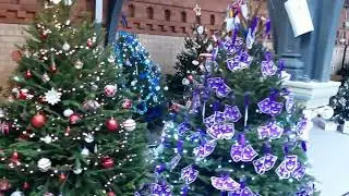 Newark Parish Church of St Mary Magdalene Christmas Tree 🎄 Festival 2025