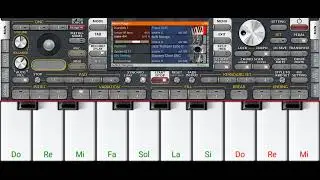 ferkare korg