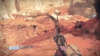 Destiny 2 The Reef Prince's Ship