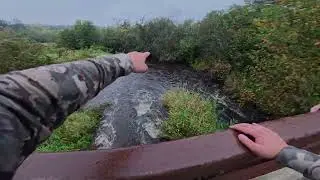 Small game hunting in Wisconsin