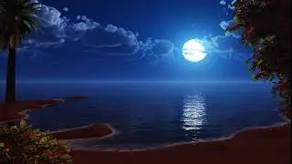 《叫我如何不想她》钢琴伴奏