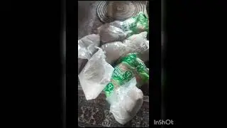 Гуманитарная помощь приюту спасенных животных от участников школы Rada.Ra. Октябрь 2023год