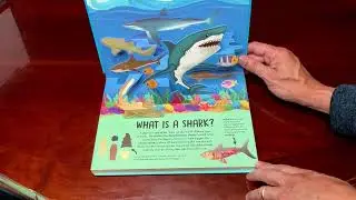Peek Inside NATURE POP-UP! SHARKS By David Hawcock