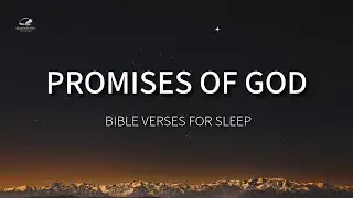 BEFORE YOU REST, LET THESE SCRIPTURE PROMISES HEAL YOU COMPLETELY