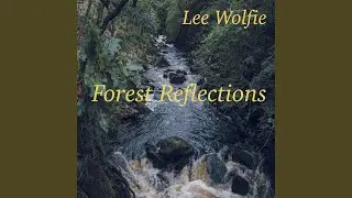 Forest Reflections