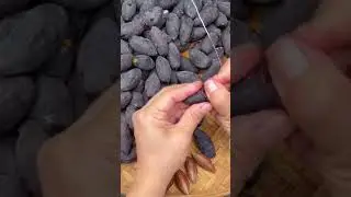 Osmanthus fragrans seed kernel extraction process