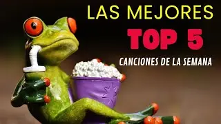 💎 TOP 5 EXITOS: Despecho, Balada y Hip Hop IA | Selecci&oacute;n Semanal | Joyas Esmeralda