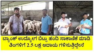 ಬ್ಯಾಂಕ್ ಉದ್ಯೋಗ ಬಿಟ್ಟು ಹಂದಿ ಸಾಕಾಣಿಕೆ ಮಾಡಿ ಬಂಪರ್ ಆದಾಯ ಗಳಿಸುತ್ತಿರುವ ಯುವಕರು