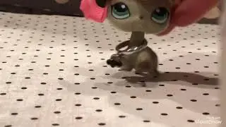 Lps Beauty and the beast mv