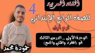 شرح وحل - نحو ( المفرد والمثنى والجمع ) للصف الرابع  - ترم أول - المنهج الجديد 2026 سلاح التلميذ