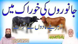 How to save animal from aflatoxin| Dairy farming||  how to protect animal from poison | dairy only