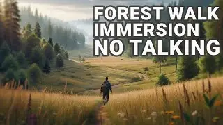 🌲 Peaceful Mountain & Forest Walk | Nature Sounds, Relaxation, ASMR - DayZ