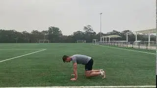 Trunk - Bear Crawl (Static)