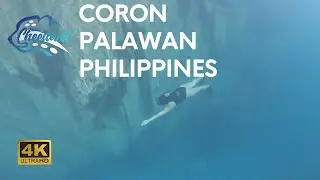[4K] Travel to Philippines and Explore Coron with Paolo as Your Tour Guide 🇵🇭
