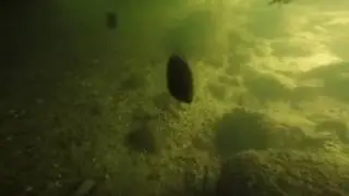 swimming through a under water cave