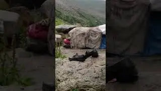 We had to find a shelter to stay dry in a storm up in the mountains in Kashmir!
