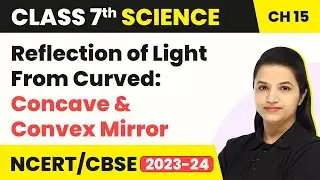 Class 7 Science Chapter 15 | Reflection of Light From Curved: Concave and Convex Mirror - Light