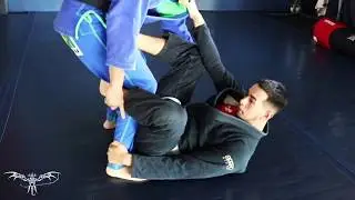 BJJ Window Concept - Damri Move of the week