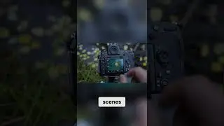 Ensure Perfect Focus  Pro Autofocus Safety Shots!