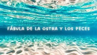 F&aacute;bula de la ostra y los peces 🐚🐡🐠🐟 (COMUNICACI&Oacute;N ASERTIVA) | Psic&oacute;loga Micaella
