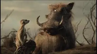 ASLAN KRAL PUMBAA KOMİK B&Ouml;L&Uuml;M