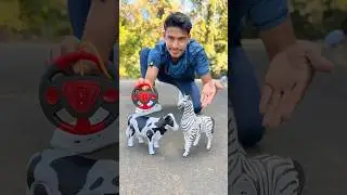 Rc Cow vs Remote Wala Zebra Dukan 😱Unboxing 🥹