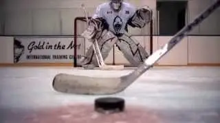Complete Butterfly Overview - Ice Hockey Goalie Training