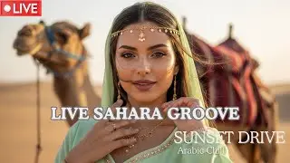 Arabic Chill EDM 🔴 LIVE 24/7 | HABIBI Drive Music