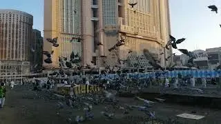 Makkah Clock tower |Abraj Al Bait clocks| Makkah| Saudi Arabia